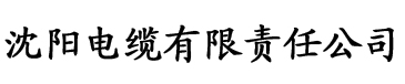 严选漫画小广告弹窗电缆厂logo